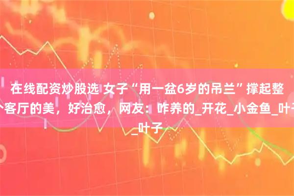 在线配资炒股选 女子“用一盆6岁的吊兰”撑起整个客厅的美，好治愈，网友：咋养的_开花_小金鱼_叶子