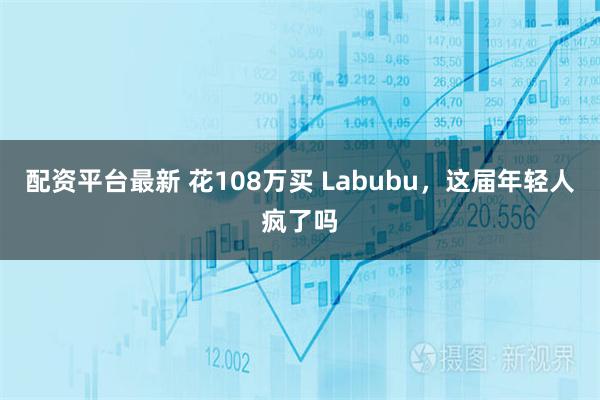 配资平台最新 花108万买 Labubu，这届年轻人疯了吗